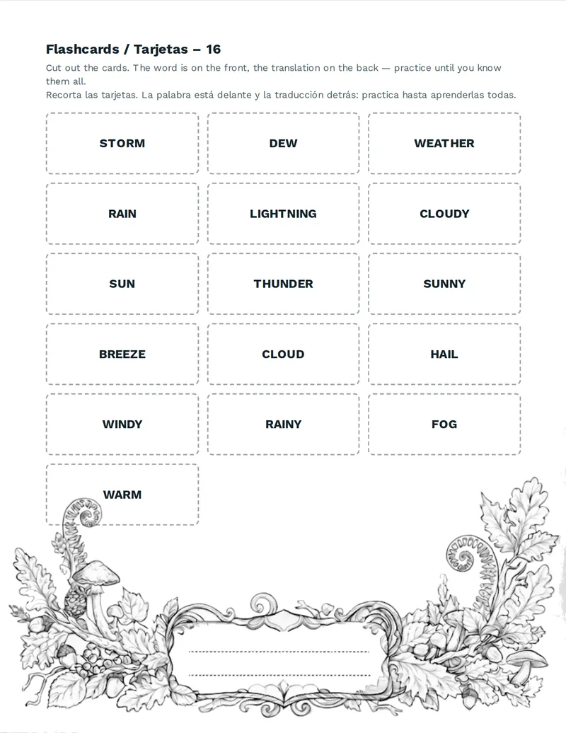 Tarjetas de vocabulario, Tiempo: SUN, RAIN, CLOUD, WIND, STORM, SNOW, FOG, HAIL