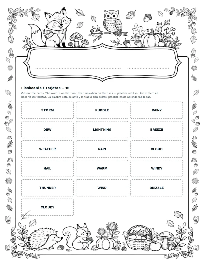 Tarjetas de vocabulario, Tiempo: SUN, RAIN, CLOUD, WIND, STORM, SNOW, FOG, HAIL