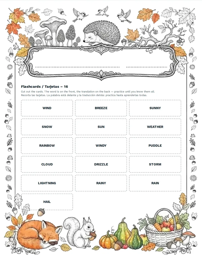 Tarjetas de vocabulario, Tiempo: SUN, RAIN, CLOUD, WIND, STORM, SNOW, FOG, HAIL